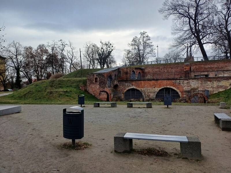 fot. Zarząd Zieleni Miejskiej we Wrocławiu