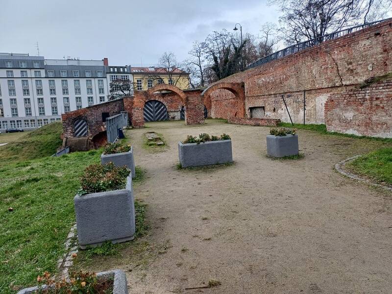 fot. Zarząd Zieleni Miejskiej we Wrocławiu