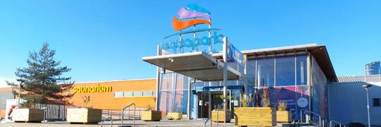 Wrocławski Aquapark obniża cenę biletów o 1/3. Ale będzie mniej atrakcji