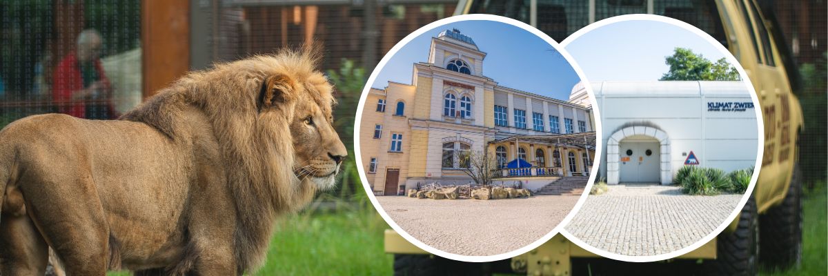 Wrocławskie zoo rozpoczyna kolejne przebudowy. Na remont czeka m.in. 140-letnie Terrarium