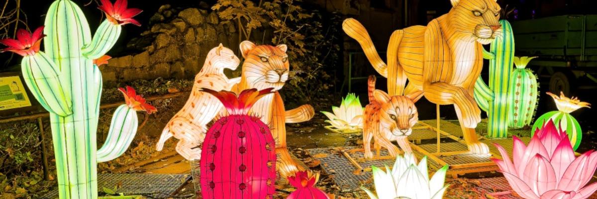 Dzika Ameryka w ZOO Wrocław – światło, które chce pomagać naturze [ZDJĘCIA]