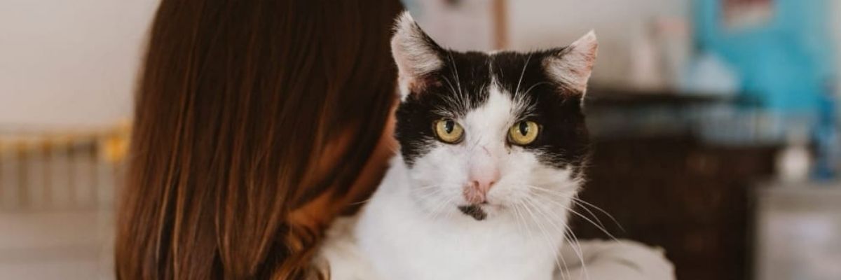 Plamek ponownie szuka domu [EKOSTRAŻ-ADOPCJA]