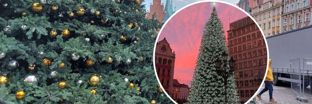 Kiedy rozświetlenie choinki na Rynku we Wrocławiu?