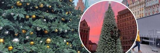 Kiedy rozświetlenie choinki na Rynku we Wrocławiu?