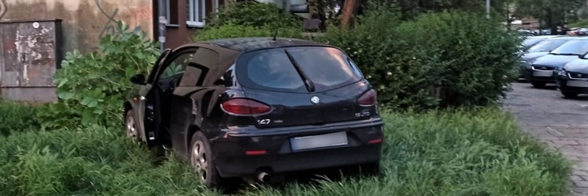 Niebezpieczny pościg ulicami Wrocławia. Skradziony samochód zatrzymał się na drzewie [ZDJĘCIA]