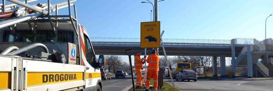 Uwaga Jeże! Nowe znaki drogowe już zawisły we Wrocławiu [ZDJĘCIA]