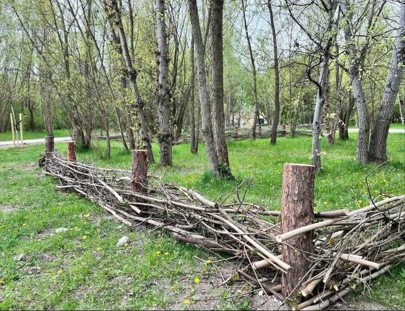 fot. Zarząd Zieleni Miejskiej we Wrocławiu