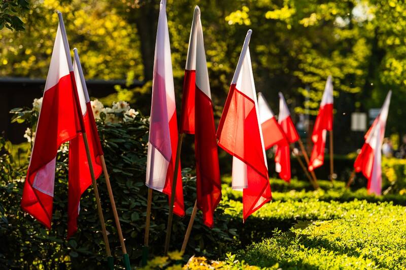 fot. Wiktor Rzeżuchowski / mat. WTWK Partynice