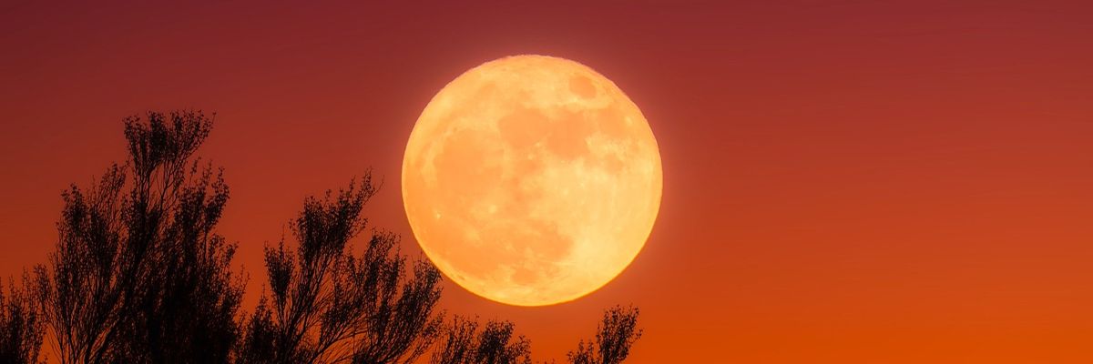 Truskawkowy Księżyc – dziś superpełnia Księżyca. Co to znaczy? [14/15.06.2022]