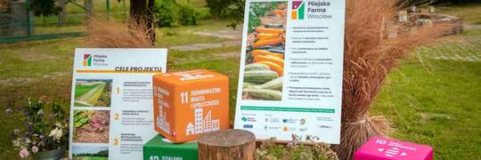 Warzywa, zwierzęta i gotowanie. Miejska Farma Wrocław rusza z nowym sezonem