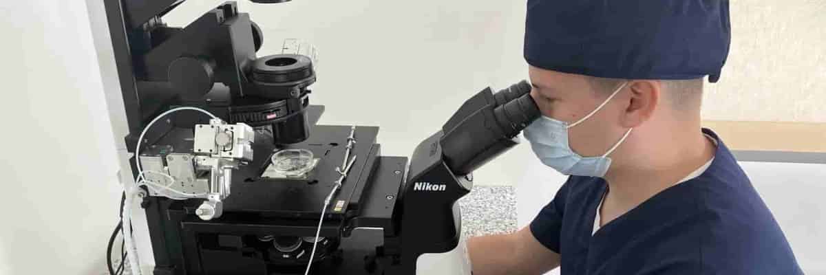 Wrocław podsumowuje sześć lat programu in vitro. Dzięki miejskiemu wsparciu urodziło się 336 dzieci