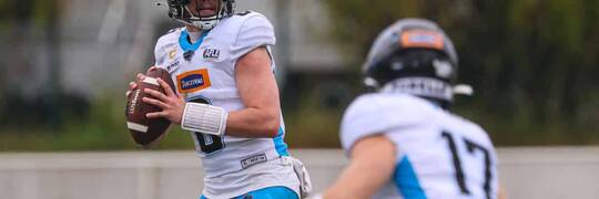 Panthers Wrocław zatrzymani w Düsseldorfie. Rhein Fire nie dało szans