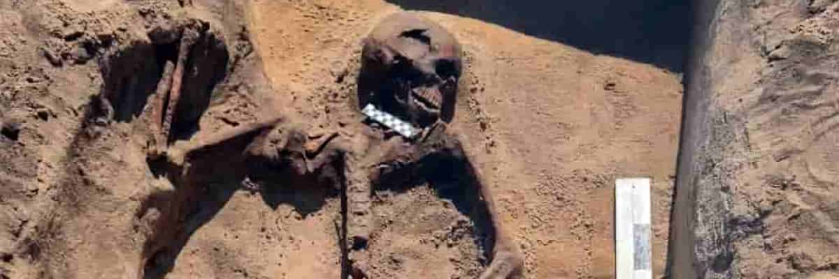Tajemnica sprzed 5 tysięcy lat. Niezwykłe odkrycie pod Żórawiną