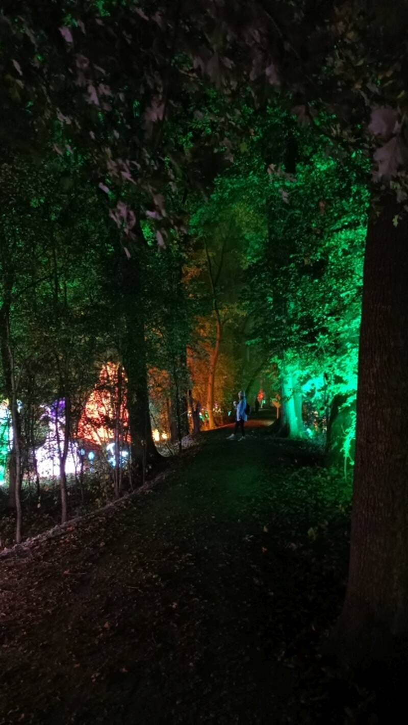 Lumina Park 2026, fot Marta Muraszkowska