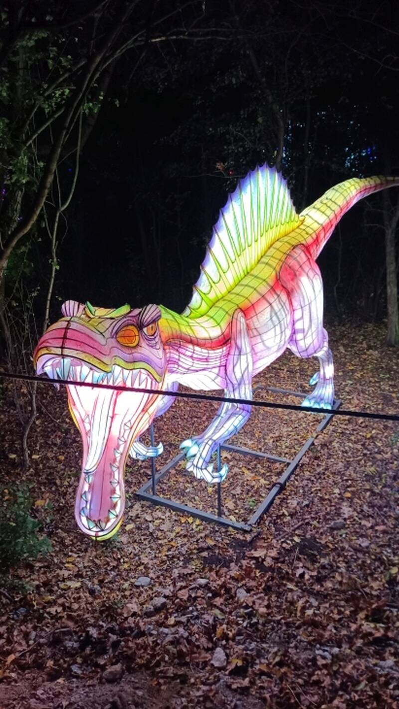 Lumina Park 2026, fot Marta Muraszkowska