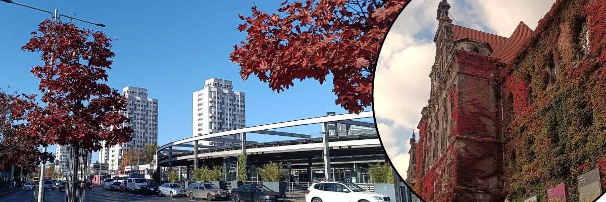 Najbardziej fotogeniczna pora roku? Zobacz jesienny Wrocław na naszych zdjęciach